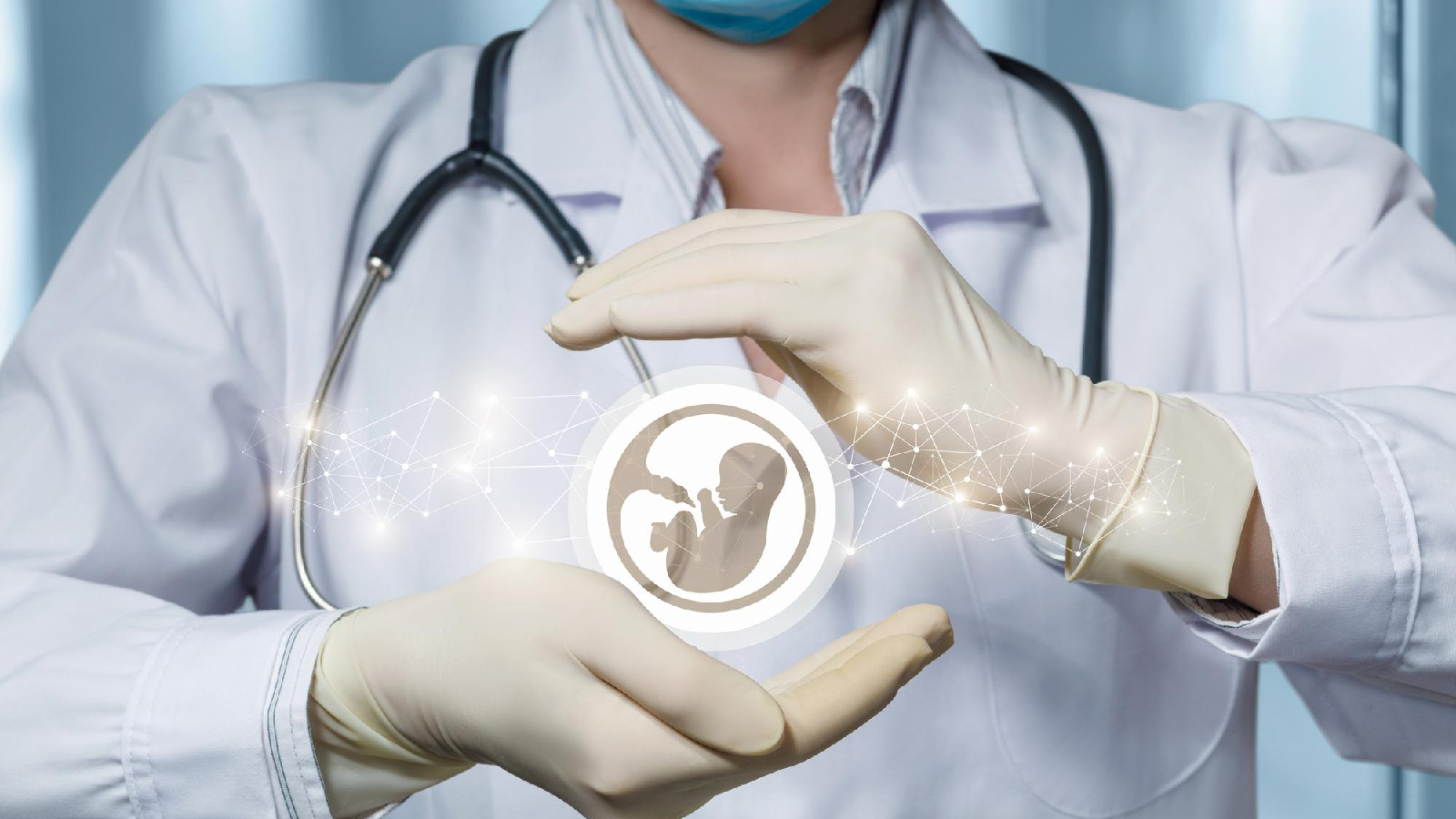 Fertility & IVF